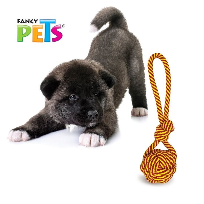 Juguete Jaladera con Bola Fancy Pets