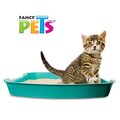 Arena para Gato 12.5 kg Fancy Pets