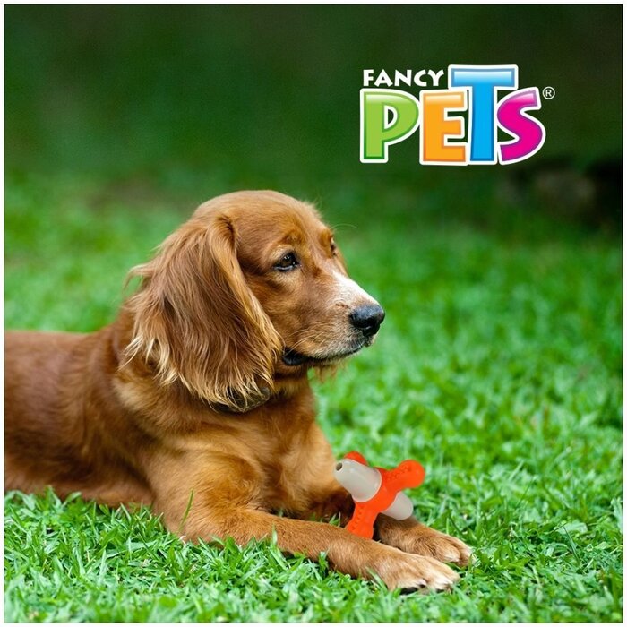 Juguete Matatena Dental con Sonido Fancy Pets