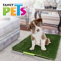 Doggie Grass Chico Fancy Pets