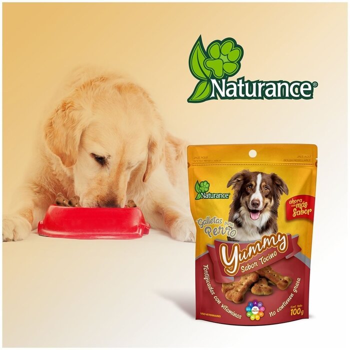 Yummy Sabor Tocino 100 g Fancy Pets