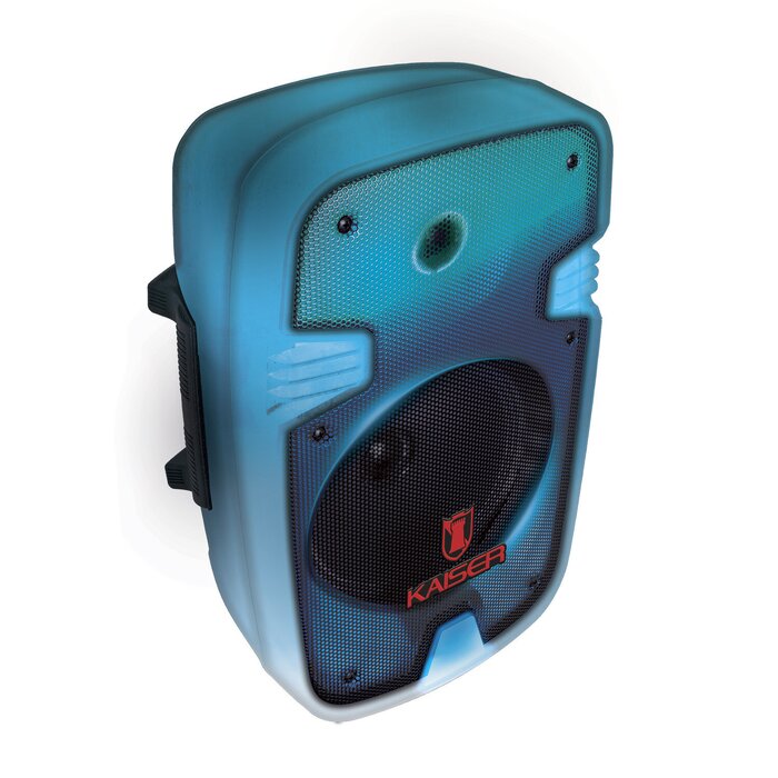 Bafle 8" full flame 6_200 W PMPO con micrófono alámbrico