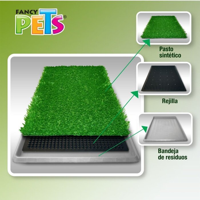 Doggie Grass Chico Fancy Pets