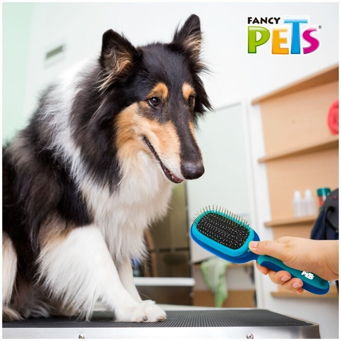 Cepillo Multifuncional 5 en 1 Fancy Pets