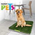 Doggie Grass Grande Fancy Pets