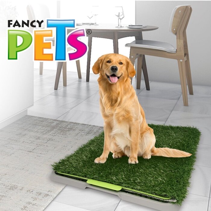 Doggie Grass Grande Fancy Pets
