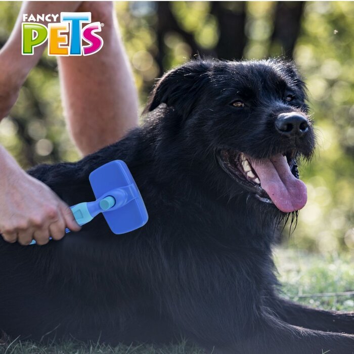 Carda Grande Autolimpieza Fancy Pets