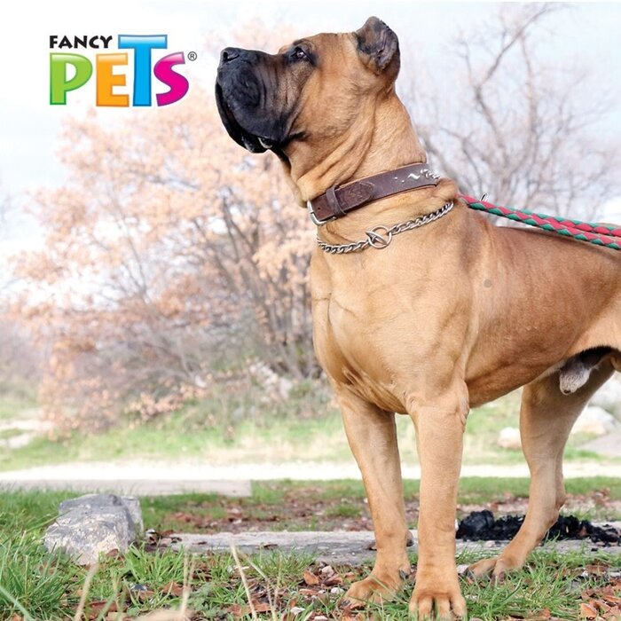 Collar de Entrenamiento 60 cm Fancy Pets