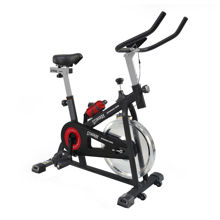 Aparato de Ejercicio Stingray Fitness Bicicleta Fija