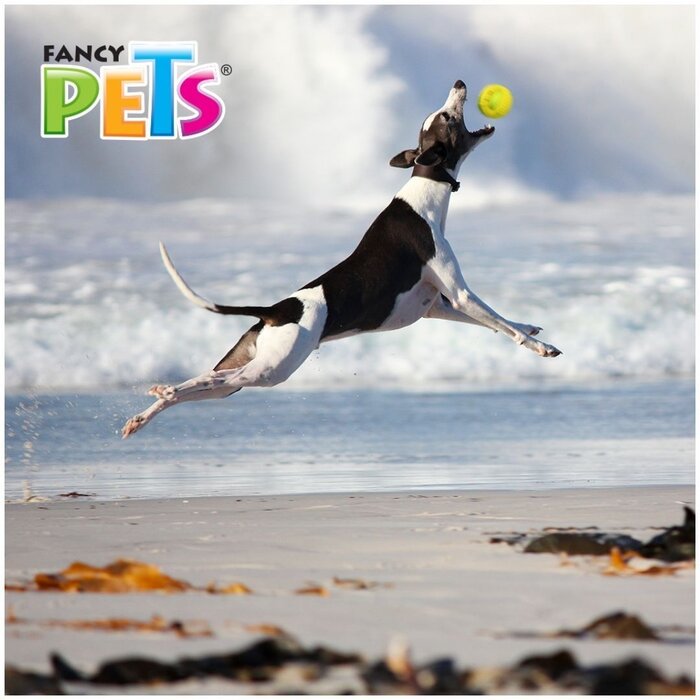 Juguete Geobola Chew Fancy Pets