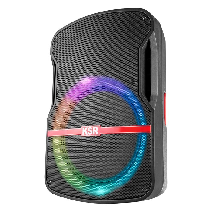 Bafle profesional 15" 25000 W PMPO con micrófono alámbrico