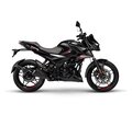 Pulsar N 250 Negra Fi+Abs Mod. 2024