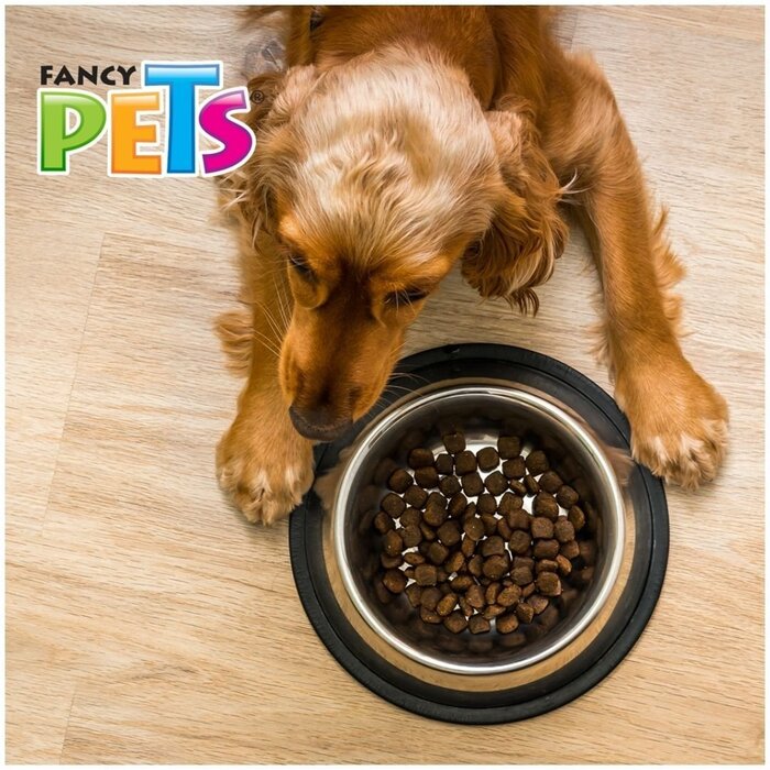 Plato de Acero 96 oz (2.7 kg) Fancy Pets