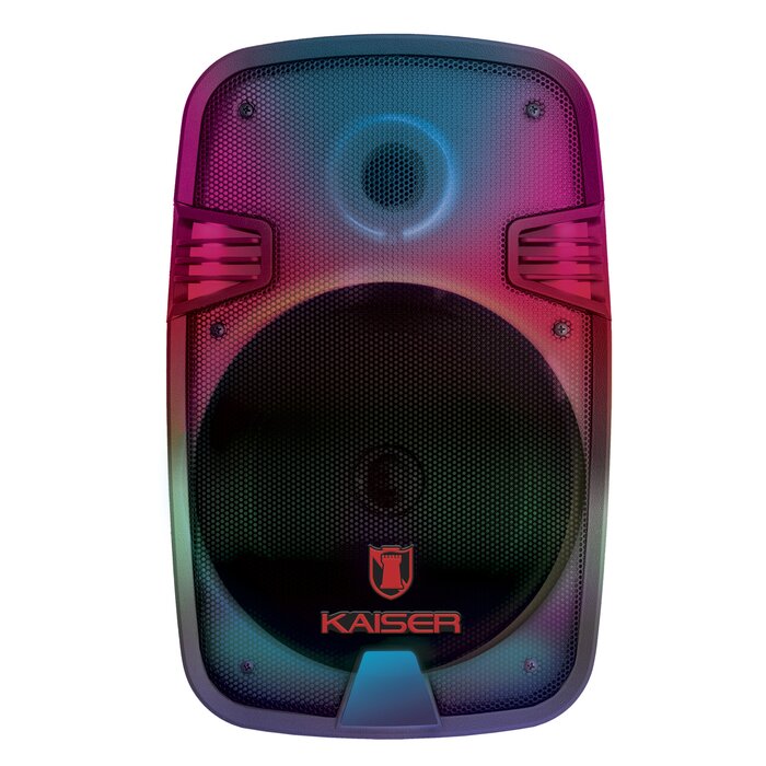 Bafle 8" full flame 6_200 W PMPO con micrófono alámbrico