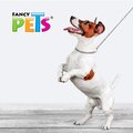 Collar de Entrenamiento 35 cm Fancy Pets