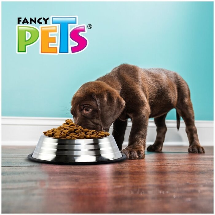 Plato Estriado de Acero 96 Oz (2.7 kg) Fancy Pets