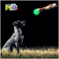 Juguete Pelota Diamante Glow Fancy Pets