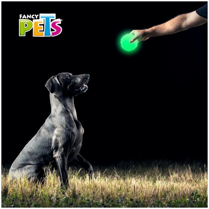 Juguete Pelota Diamante Glow Fancy Pets