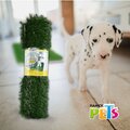 Repuesto Pasto para Doggie Grass Grande Fancy Pets