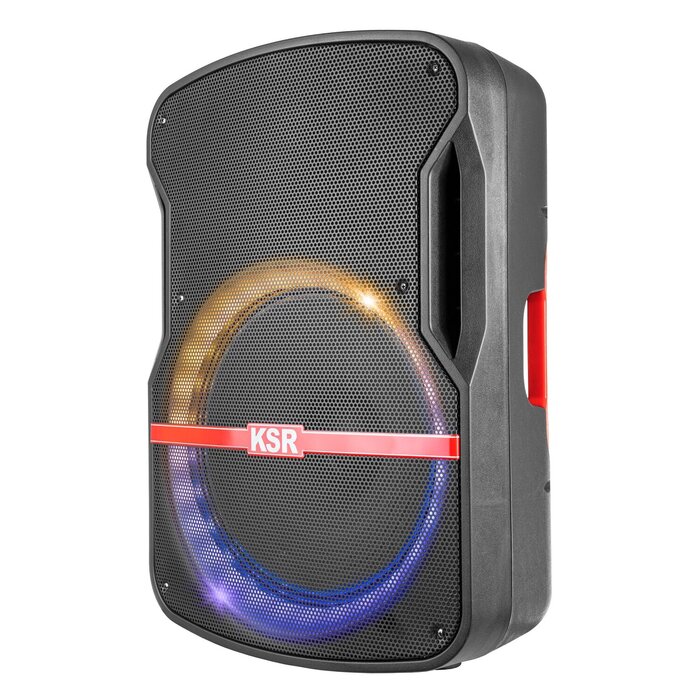 Bafle profesional 15" 25000 W PMPO con micrófono alámbrico