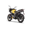 Pulsar Ns 125 Amarilla Mod. 2024