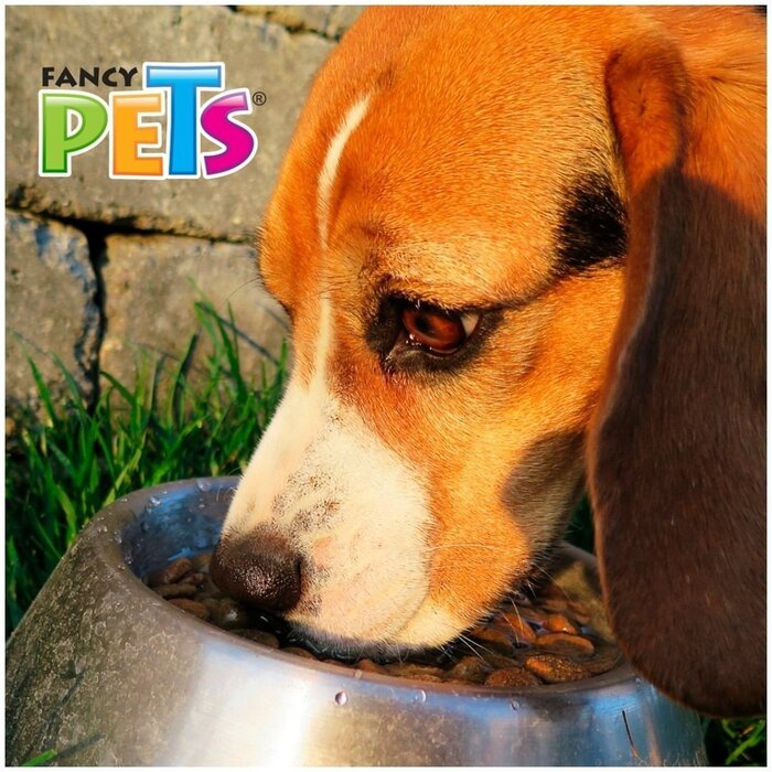 Plato de Acero 64 oz (1.8 kg) Fancy Pets