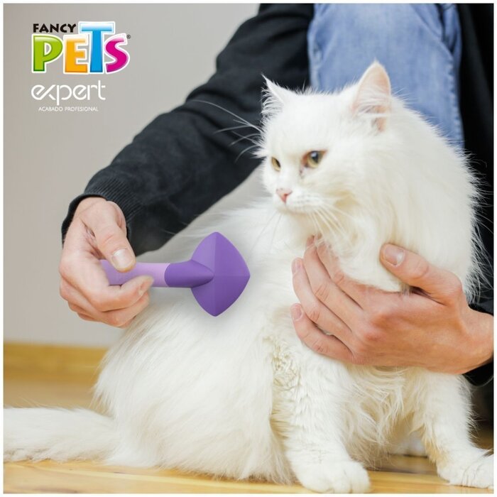 Carda para Gato Expert Fancy Pets