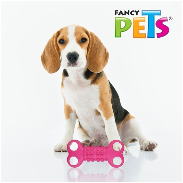Juguete Hueso de Caucho Fancy Pets