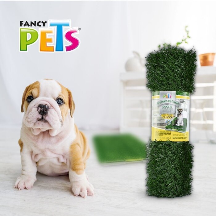 Repuesto Pasto para Doggie Grass Chico Fancy Pets