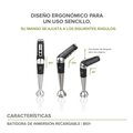 Batidoras de Inmersión Recargable USB Avera BI01